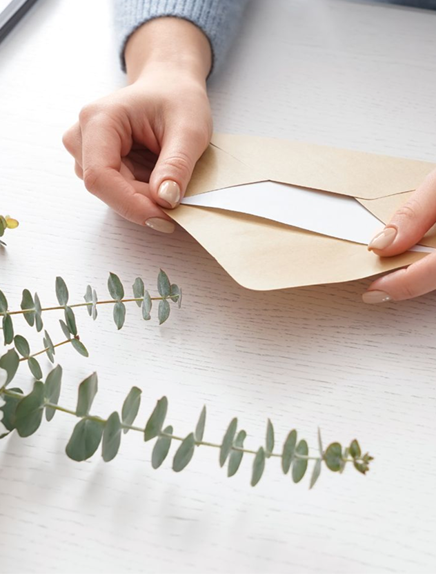Hands holding envelope with eucalyptus